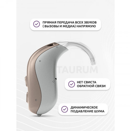Слуховой аппарат Bernafon Viron 5 105