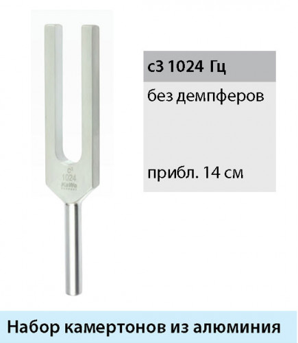 Набор камертонов в пластиковом кейсе 5 шт. с частотами 128, 256, 512,1024, 2048 Hz